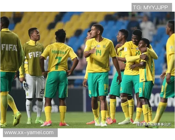 南美解放者杯决赛球队的巴西统治力近十年显著体现